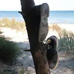 Bruchbude Mit Meerblick