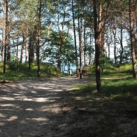 Bruchbude Mit Meerblick * ビンツ