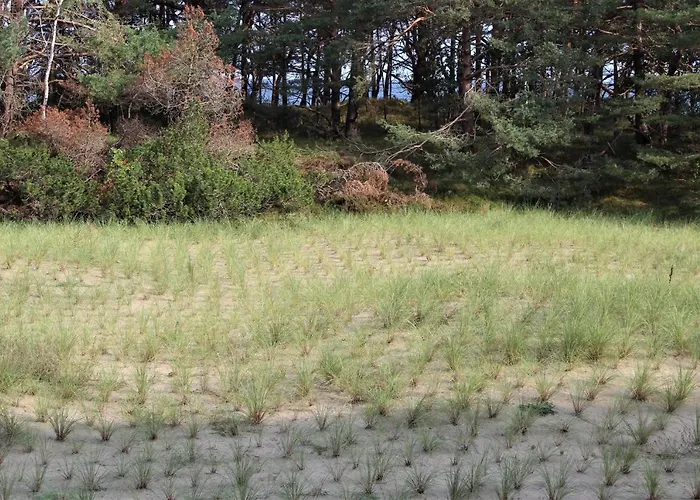 아파트 Bruchbude Mit Meerblick 빈츠